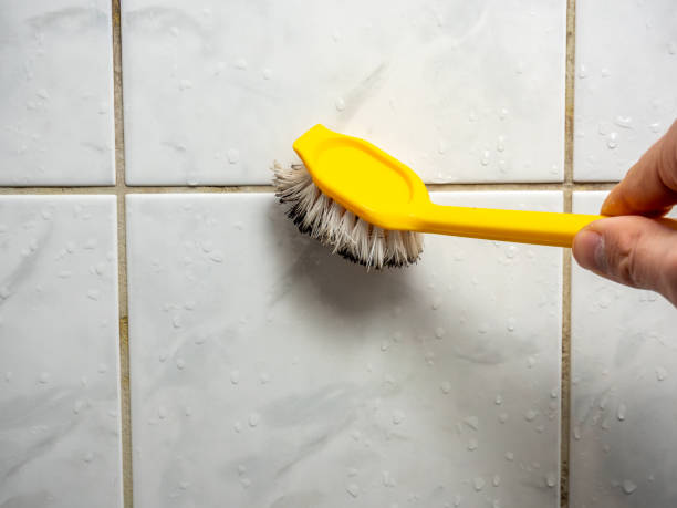 Best Emergency Mold Removal  in Yuc Valley, CA