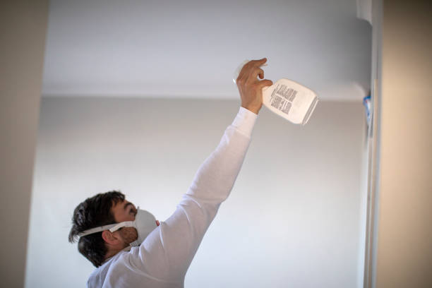 Best Same-Day Mold Removal  in Yuc Valley, CA
